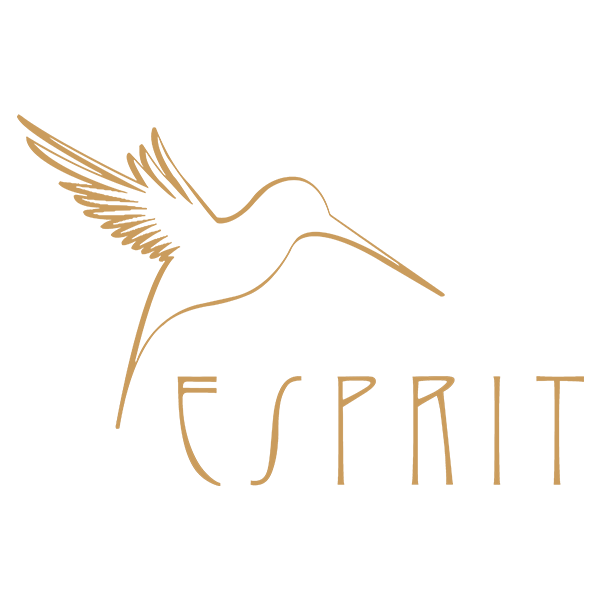 ESPRIT-Logo-gold